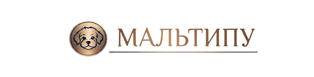 Купить Мальтипу в Москве